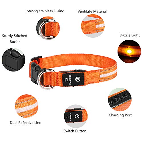 MASBRILL Collar de Perro Luz LED, 3 Modos Collar Perro Luminoso con Recargable y Impermeable, Collar de Perro de Destello Ajustable para Perros Pequeños/Medianos/Grandes(Naranja M)