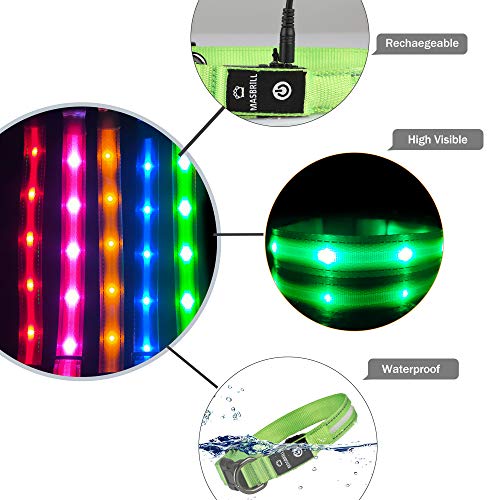 MASBRILL Collar LED Perro, Collar para Perro Luminoso Recargable y Impermeable, 3 Modos de Iluminación led y Tamaño Ajustable para Perros Pequeños Medianos Grandes(Verde L)