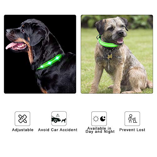 MASBRILL Collar LED Perro, Collar para Perro Luminoso Recargable y Impermeable, 3 Modos de Iluminación led y Tamaño Ajustable para Perros Pequeños Medianos Grandes(Verde L)