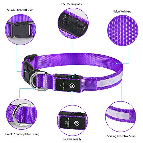 MASBRILL Collar Luminoso Perro de Mascota, 3 Modos Collar Luz Perro con Recargable y Impermeable, Ajustable Collares LED para Perros Pequeños/Medianos/Grandes(Morado M)