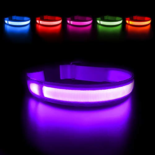 MASBRILL Collar Luminoso Perro de Mascota, 3 Modos Collar Luz Perro con Recargable y Impermeable, Ajustable Collares LED para Perros Pequeños/Medianos/Grandes(Morado M)