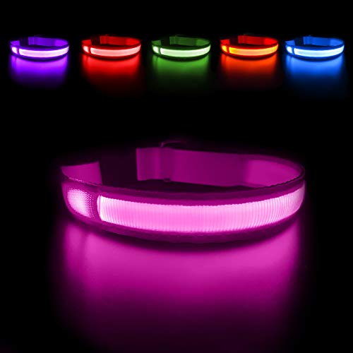 MASBRILL Collar Luminoso Perro de Mascota, 3 Modos Collar Luz Perro con Recargable y Impermeable, Ajustable Collares LED para Perros Pequeños/Medianos/Grandes(Rosa S)