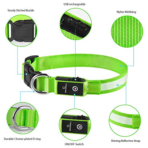 MASBRILL Collar Luminoso Perro de Mascota, 3 Modos Collar Perro Luz con Recargable y Impermeable, Ajustable Collares LED para Perros Pequeños / Medianos / Grandes(Verde M)