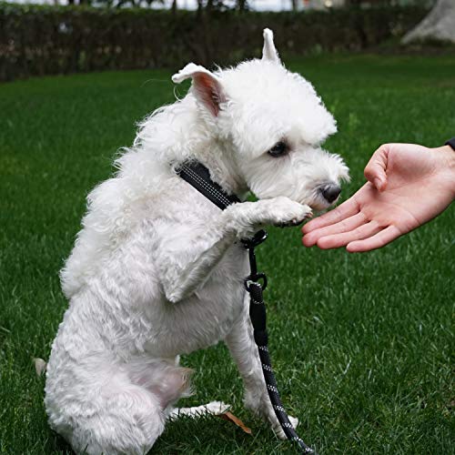 Mauts Juego de Collares y Correa para Perros Grandes, medianos y pequeños (3 Piezas) (Negro, Grande)