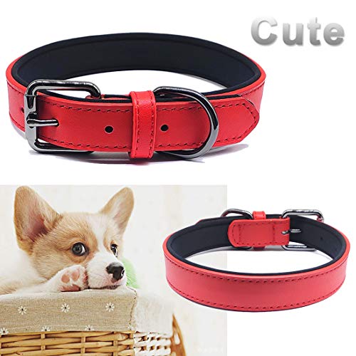 MayPaw Collar de Perro de Cuero Genuino, Hecho a Mano, Duradero, Suave y Lindo Collar Acolchado para Mascotas de tamaño XS, pequeño, Mediano (M: 13.5-16" Neck*1.0" Wide, Rosso)