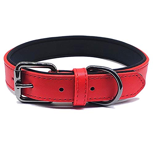 MayPaw Collar de Perro de Cuero Genuino, Hecho a Mano, Duradero, Suave y Lindo Collar Acolchado para Mascotas de tamaño XS, pequeño, Mediano (M: 13.5-16" Neck*1.0" Wide, Rosso)