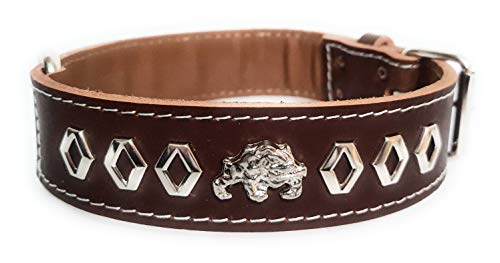 M&D Collar de perro de cuero único de 3,8 cm de ancho con diseño decorativo e insignia de Bulldog Inglés/Británico (grande: 20 a 24 pulgadas, marrón)