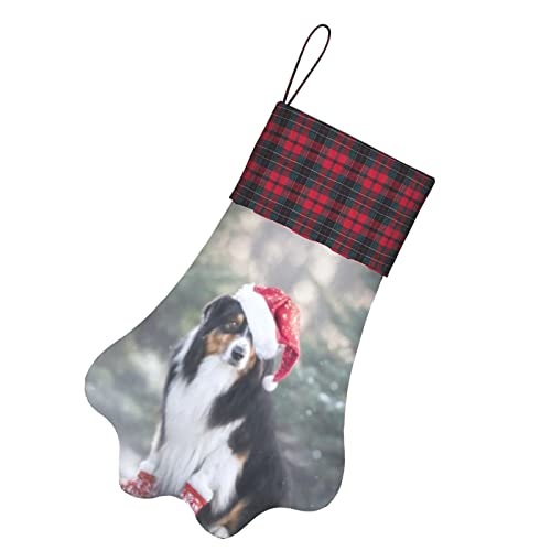 Medias de Navidad para perros Medias con patas para mascotas Jc Cute Tricolor Pastor australiano Perro Papá Noel Medias para colgar en la chimenea con una pata grande para decoraciones navideñas, 12