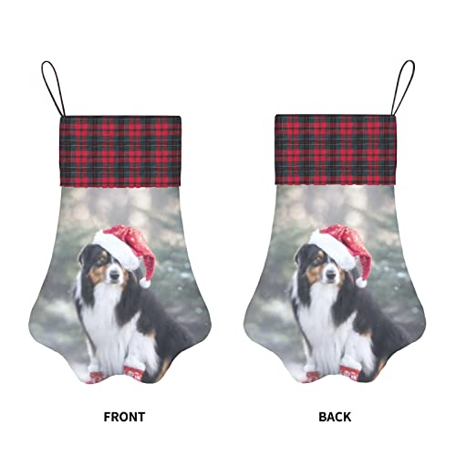 Medias de Navidad para perros Medias con patas para mascotas Jc Cute Tricolor Pastor australiano Perro Papá Noel Medias para colgar en la chimenea con una pata grande para decoraciones navideñas, 12