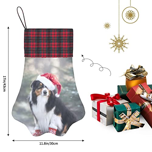 Medias de Navidad para perros Medias con patas para mascotas Jc Cute Tricolor Pastor australiano Perro Papá Noel Medias para colgar en la chimenea con una pata grande para decoraciones navideñas, 12