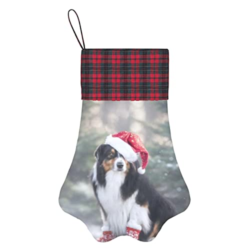 Medias de Navidad para perros Medias con patas para mascotas Jc Cute Tricolor Pastor australiano Perro Papá Noel Medias para colgar en la chimenea con una pata grande para decoraciones navideñas, 12