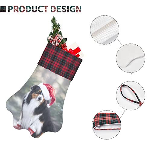 Medias de Navidad para perros Medias con patas para mascotas Jc Cute Tricolor Pastor australiano Perro Papá Noel Medias para colgar en la chimenea con una pata grande para decoraciones navideñas, 12