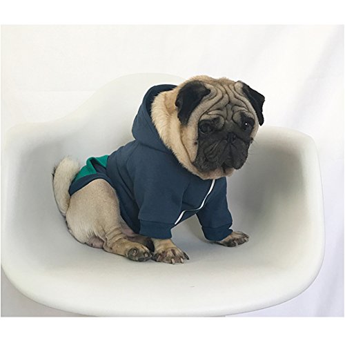 Meioro Cremallera con Capucha Ropa para Mascotas Ropa de Gato para Perros Ropa de Mascota Linda Abrigo Caliente con Capucha Bulldog francés (XXL, Azul)