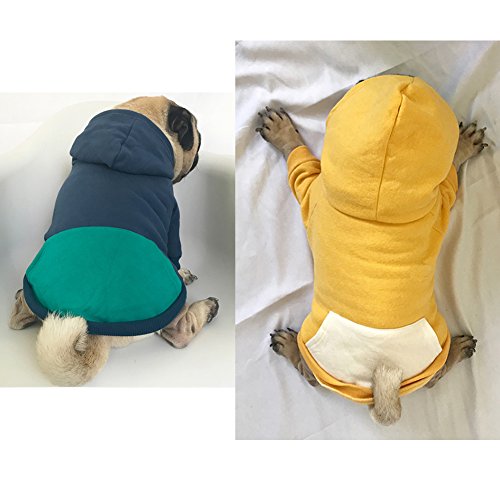 Meioro Cremallera con Capucha Ropa para Mascotas Ropa de Gato para Perros Ropa de Mascota Linda Abrigo Caliente con Capucha Bulldog francés (XXL, Azul)