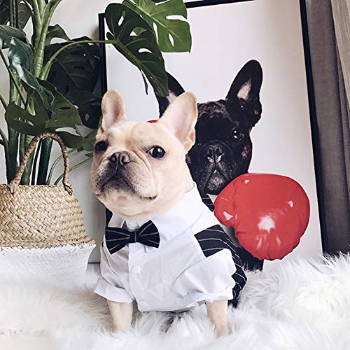 Meioro Ropa para Mascotas Camisa para Perros Perro Smoking Tie Bow Tie Shirt Adecuado para el Banquete de Boda Bulldog francés Bulldog Pug (XL, Camisa de Pajarita)