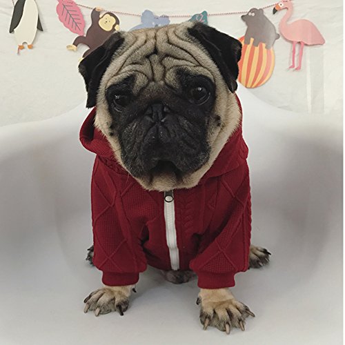 Meioro Suéter de Perro Ropa para Mascotas con Capucha y Cremallera Ropa para Perros y Gatos Paño Tibio para Perros Cachorro Bulldog Francés Pug（XXL,Rojo）