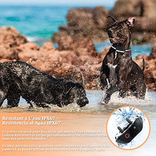 Meloive Collar de Adiestramiento para Perros con Mando a Distancia de 1000m, IPX67 Collar Anti-ladrido para Perros con Bloqueo de Teclado, 4 Modos de Adiestramiento con Pitido, Vibración,Luz y Modo E