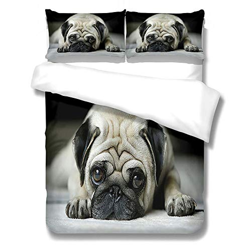 MENGBB Juego de Cama 3 Piezas 100% Microfibra Mascotas Perros Gafas 200X200cm Funda Edredón Cama 150 Estampado