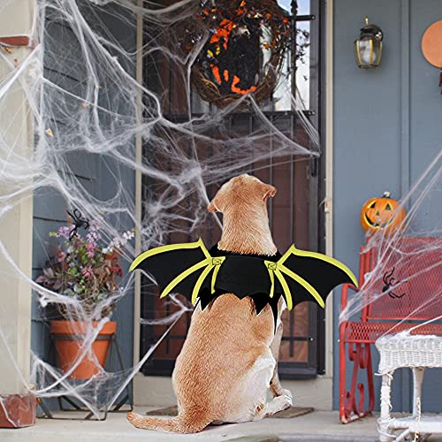 MHwan Alas de Perro, Disfraz de Perro de Halloween, Alas de murciélago para Mascotas de Halloween con Campana de 2 Calabazas para Cachorro y Gato (Negro)