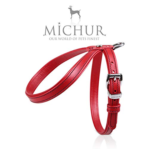 MICHUR Cucciolo Arnés para Perro de Cuero, arnés de Cuero para Perros pequeños o minis, Cachorros, Rojo, Cuero, Disponibles en Diferentes tamaños