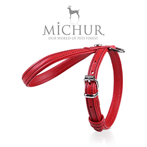 MICHUR Cucciolo Arnés para Perro de Cuero, arnés de Cuero para Perros pequeños o minis, Cachorros, Rojo, Cuero, Disponibles en Diferentes tamaños