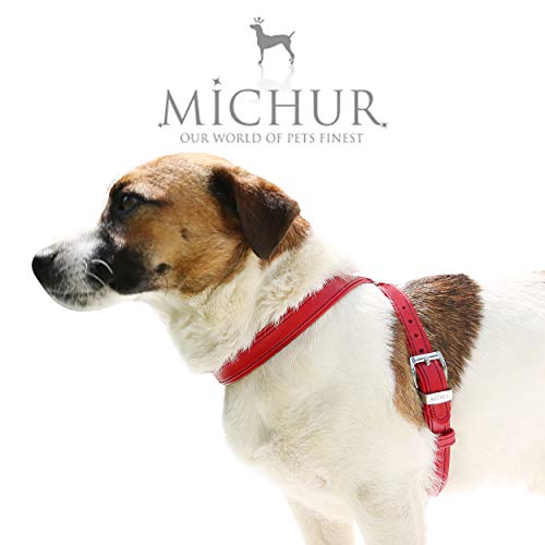 MICHUR Cucciolo Arnés para Perro de Cuero, arnés de Cuero para Perros pequeños o minis, Cachorros, Rojo, Cuero, Disponibles en Diferentes tamaños