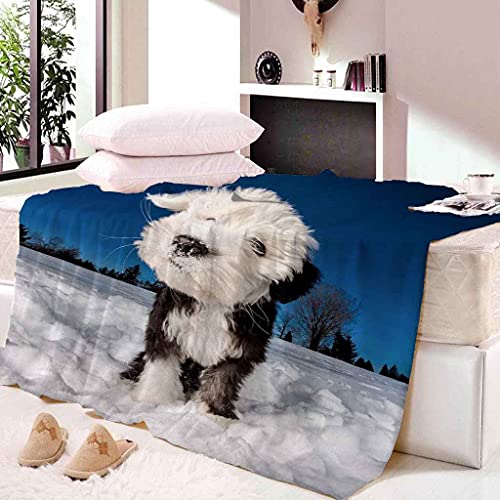 MIJYLD Manta de Franela Impresión 3D Escena de Nieve de Invierno de Perro Mascota Mantas de Felpa de Franela Personalizadas para Niños o Adultos Cuna Sofá Silla Cuatro Estaciones 100x130 cm