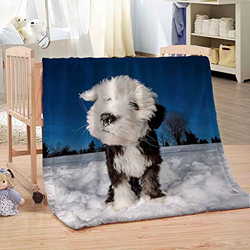 MIJYLD Manta de Franela Impresión 3D Escena de Nieve de Invierno de Perro Mascota Mantas de Felpa de Franela Personalizadas para Niños o Adultos Cuna Sofá Silla Cuatro Estaciones 100x130 cm