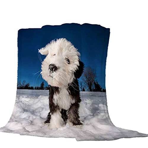 MIJYLD Manta de Franela Impresión 3D Escena de Nieve de Invierno de Perro Mascota Mantas de Felpa de Franela Personalizadas para Niños o Adultos Cuna Sofá Silla Cuatro Estaciones 100x130 cm