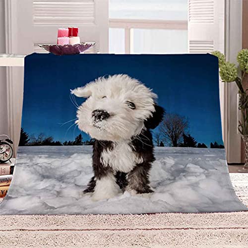 MIJYLD Manta de Franela Impresión 3D Escena de Nieve de Invierno de Perro Mascota Mantas de Felpa de Franela Personalizadas para Niños o Adultos Cuna Sofá Silla Cuatro Estaciones 100x130 cm