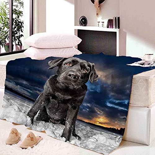 MIJYLD Manta de Franela Impresión 3D Perro Negro Animal Mantas de Felpa de Franela Personalizadas para Niños o Adultos Cuna Sofá Silla Cuatro Estaciones 100x130 cm