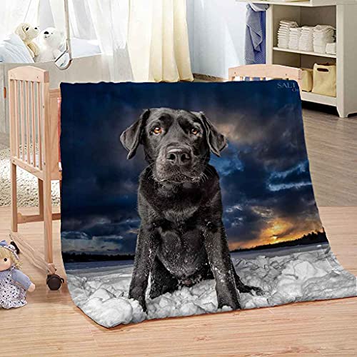 MIJYLD Manta de Franela Impresión 3D Perro Negro Animal Mantas de Felpa de Franela Personalizadas para Niños o Adultos Cuna Sofá Silla Cuatro Estaciones 100x130 cm