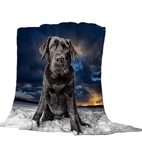 MIJYLD Manta de Franela Impresión 3D Perro Negro Animal Mantas de Felpa de Franela Personalizadas para Niños o Adultos Cuna Sofá Silla Cuatro Estaciones 100x130 cm