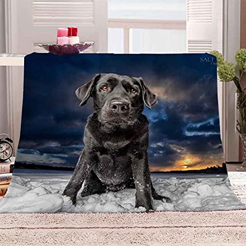 MIJYLD Manta de Franela Impresión 3D Perro Negro Animal Mantas de Felpa de Franela Personalizadas para Niños o Adultos Cuna Sofá Silla Cuatro Estaciones 100x130 cm