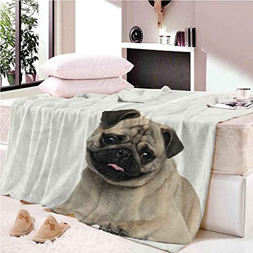 MIJYLD Manta de Suave de Franela de Microfibra Manta de Felpa mullida Manta Manta para sofá Cama - Fácil De Limpiar para Sofás, Manta de Salón, Manta de Dormir Mascota, Animal, Perro 100x130 cm