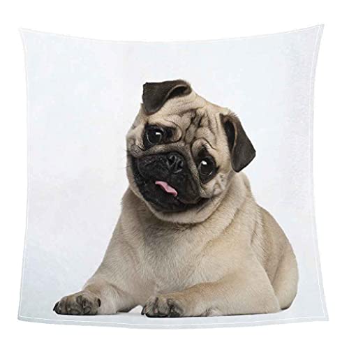 MIJYLD Manta de Suave de Franela de Microfibra Manta de Felpa mullida Manta Manta para sofá Cama - Fácil De Limpiar para Sofás, Manta de Salón, Manta de Dormir Mascota, Animal, Perro 100x130 cm