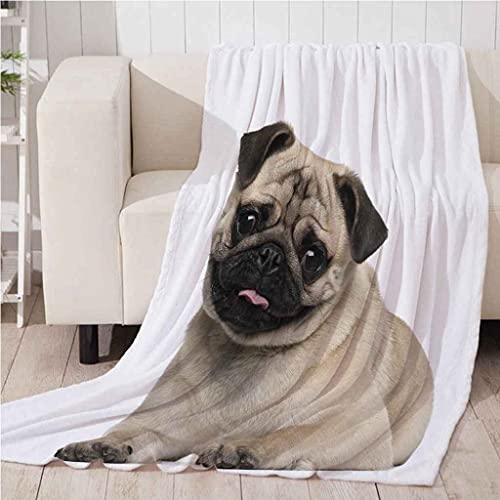 MIJYLD Manta de Suave de Franela de Microfibra Manta de Felpa mullida Manta Manta para sofá Cama - Fácil De Limpiar para Sofás, Manta de Salón, Manta de Dormir Mascota, Animal, Perro 100x130 cm