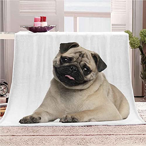 MIJYLD Manta de Suave de Franela de Microfibra Manta de Felpa mullida Manta Manta para sofá Cama - Fácil De Limpiar para Sofás, Manta de Salón, Manta de Dormir Mascota, Animal, Perro 100x130 cm