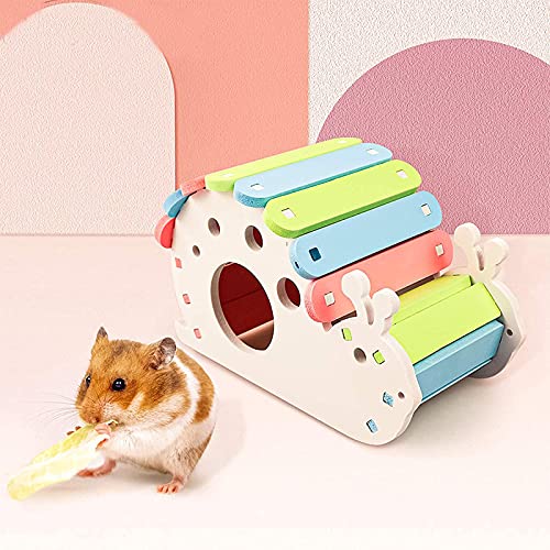 Mikqky Pack de 5 Juguetes para Hámsters Casa de Hámsters Casa de Hámsters Puente Arco Iris Columpio y Juguete de Entrenamiento Decoración de Hámster Juguete para Animales Pequeños para Ratas y Ratas