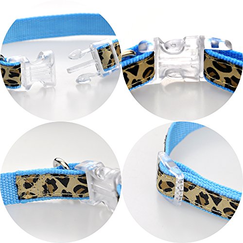 Mile High Life Collar, arnés y Correa para Perro de Leopardo Accesorio para pasear a tu Perro