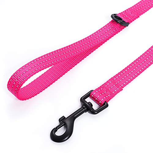 Mile High Life Combo Pack de Collar de Correa para Perro Raya Reflectante 3M (L, Rosa3)