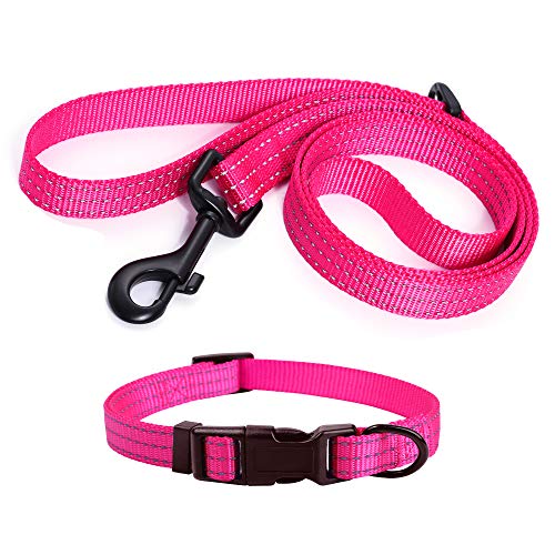 Mile High Life Combo Pack de Collar de Correa para Perro Raya Reflectante 3M (L, Rosa3)