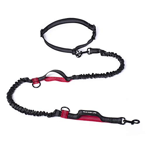 Mile High Life Manos Libres retráctiles para Perros Leash Bungees Negros Dobles Reflectantes (213CM, Rojo)