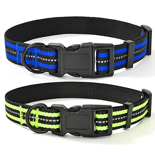 Mile High Life Night Tiras Reflectantes Dobles Collar de Perro de Nylon (2 Pack Azul/Lima, X-Small Neck 23 cm- 33cm -9KG)