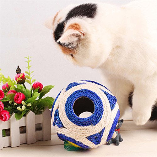 Milopon juguete gato pelotas con 6 agujeros griffoir para gatos divertida gatito Play ocio color aleatorio