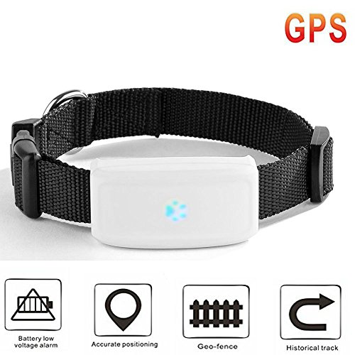 Mini GPS Localizador de Collar para Mascotas, impermeable Rastreador collar para perros y gatos Aplicación para smartphone PC Tablet