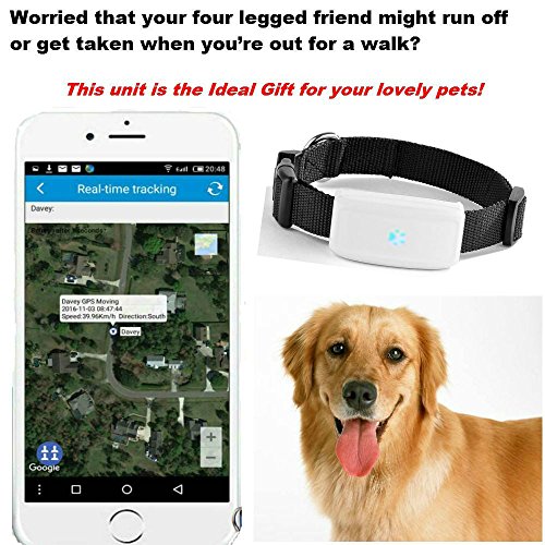 Mini GPS Localizador de Collar para Mascotas, impermeable Rastreador collar para perros y gatos Aplicación para smartphone PC Tablet