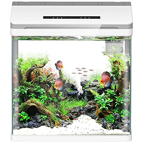 Mini Tanque De Peces Betta Inteligente, Acuario Pequeño, Acuario De Peces, Kit De Acuario, Con Iluminación LED, Bomba Y Filtro, 13L / 28L,L