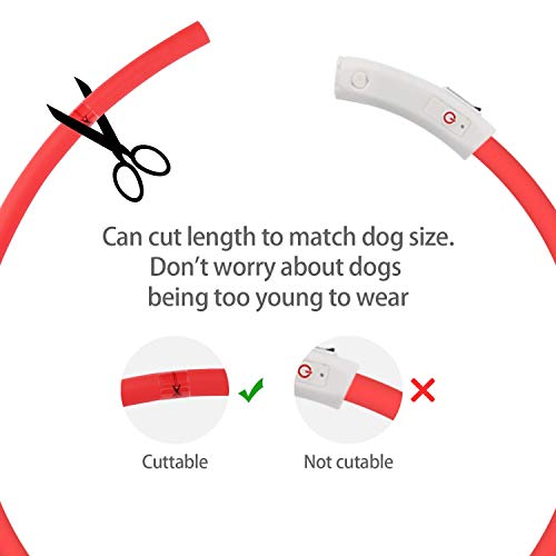 Mitening 2 Pcs Collar Luminoso Perro, USB Recargable Collar Perro Seguro para Mascotas, 3 Modos de LED Perro Collar Brillantes y Longitud Ajustable para Perros, 70CM (Azul y Rojo)