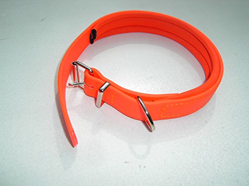 MJH/AfP Collar Talla XS, forrado, cosido, ajustable BioThane 25 mm con neopreno naranja